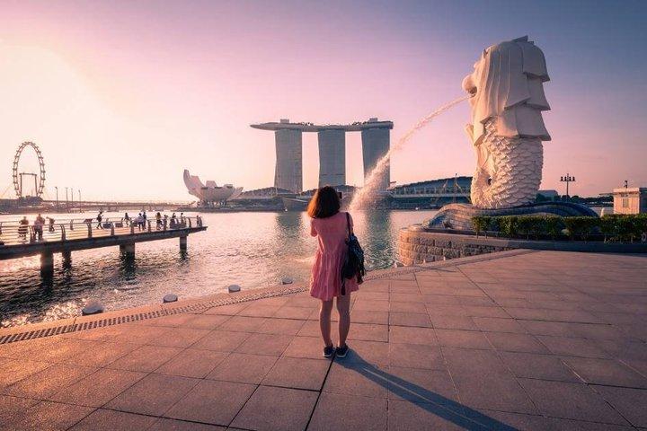 Singapore Half-Day City Sightseeing Guided Tour with Hotel Pickup