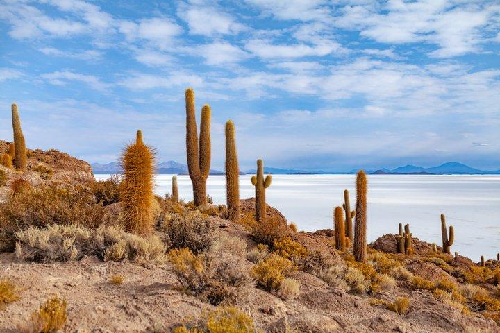 Uyuni Salt Flats 3 Day Tour to San Pedro Atacama Bus from La Paz