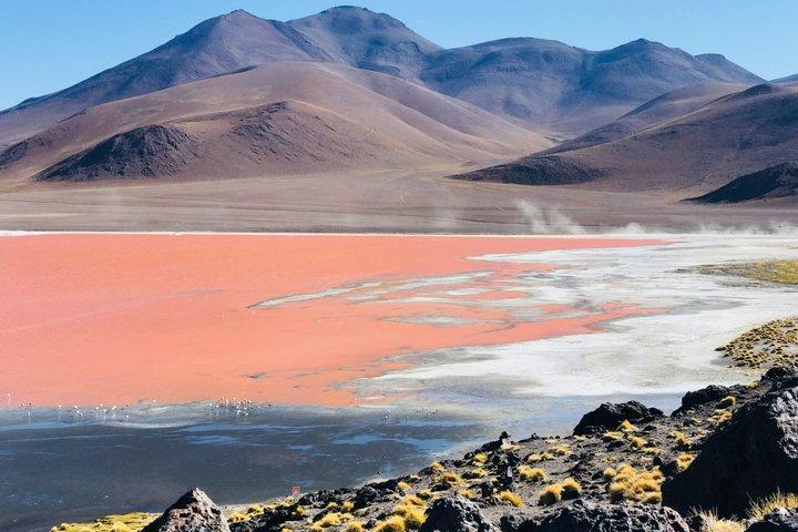 Uyuni Salt Flats 3 Day Tour to San Pedro Atacama Bus from La Paz