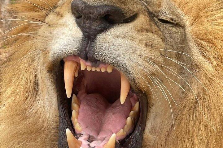 Fathala Wild Life Reserve Safari