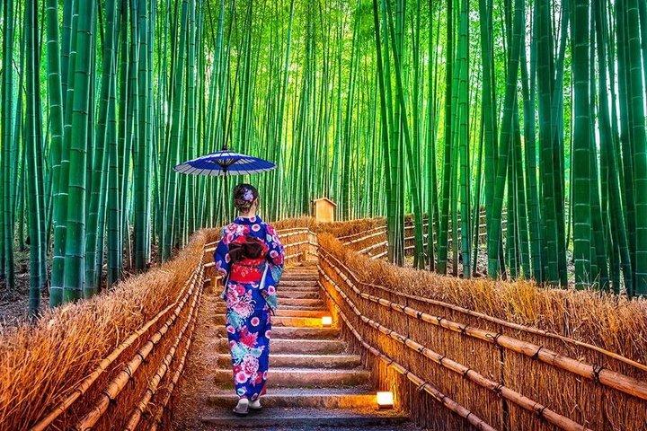 Kyoto & Nara customizeable Luxury Private Day Tour Driver Guide
