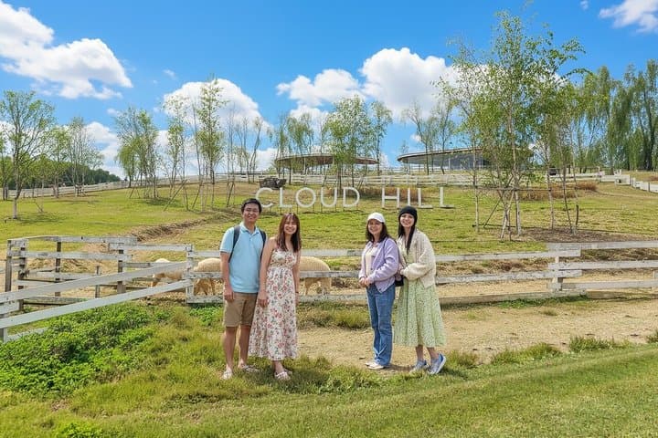 Nami Island & Alpaca Garden Cafe