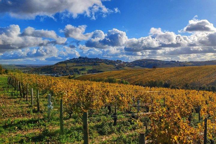 Paris Wine Day Tours exclusive wine tour in the Sancerre area