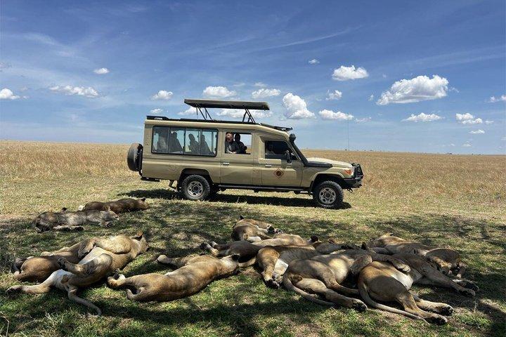 7 Days Great Migration Serengeti Safari