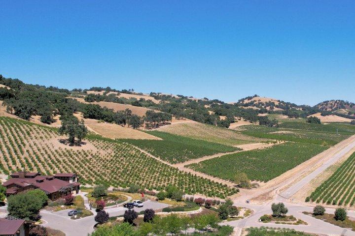 Paso Robles 3-Winery Tour with Picnic Lunch and Tastings