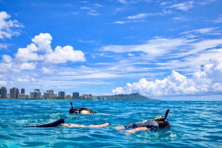 Waikiki Snorkeling & Ocean Waterpark Adventure from Oahu