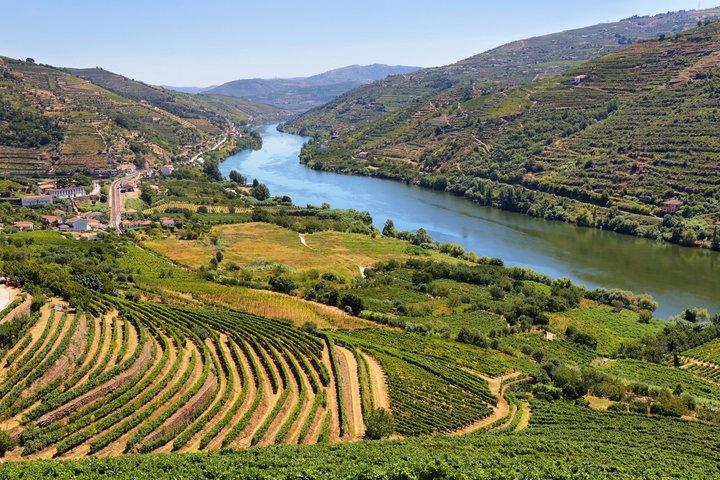 Douro Valley Wine Tour: 2 Wineries, Lunch & River Cruise