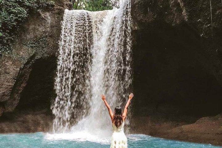 Ubud Waterfall, Temple & Rice Terrace Private Tour