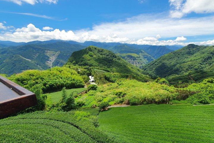 Private 3-Day Tour from Taipei: Sun Moon Lake, Alishan, Lukang