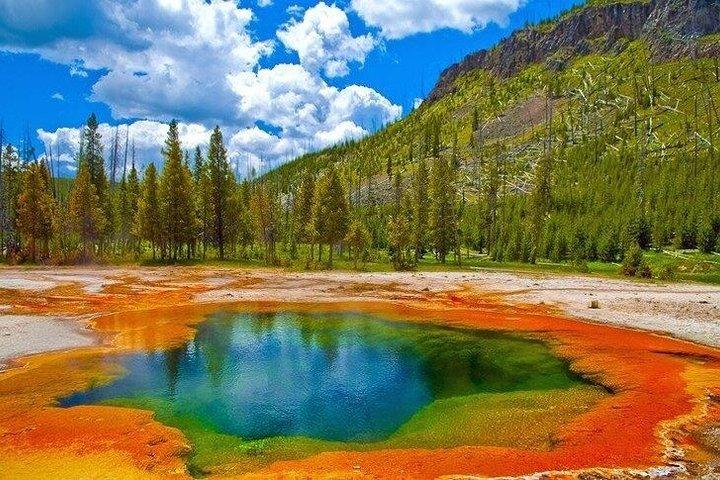 Private VIP Yellowstone National Park Tour from Jackson Hole