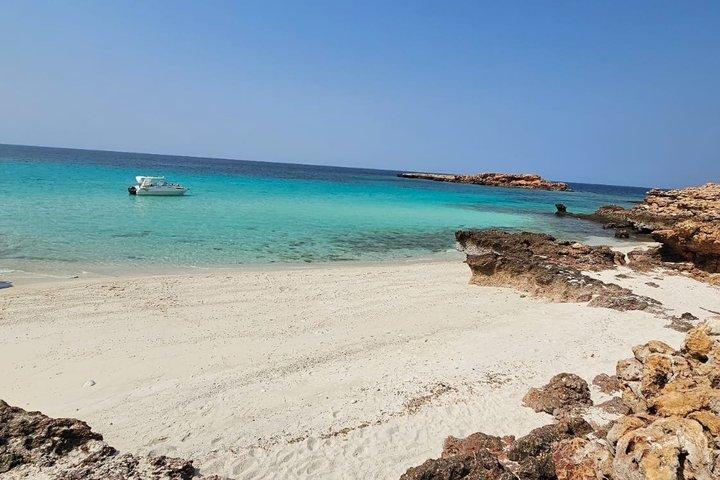 Shared Dimaniyat Islands Half Day Snorkeling from Al Mouj Marina