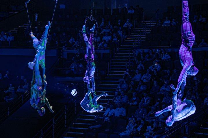 La Perle by Dragone Show Tickets Dubai