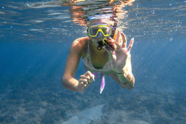 Private Snorkeling Tour and Beach Day