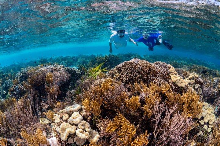 Private Snorkeling Tour and Beach Day