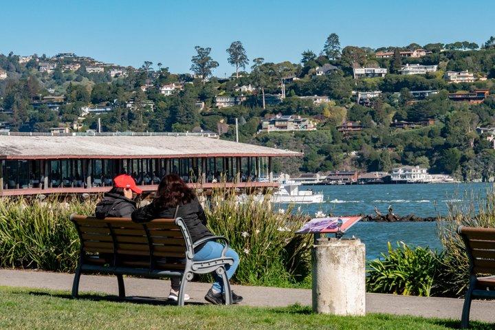 Muir Woods and Sausalito Tour (Return by Bus or Ferry)