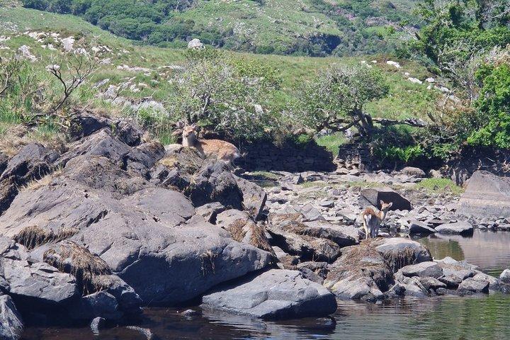 Gap of Dunloe Day Trip One Way Only