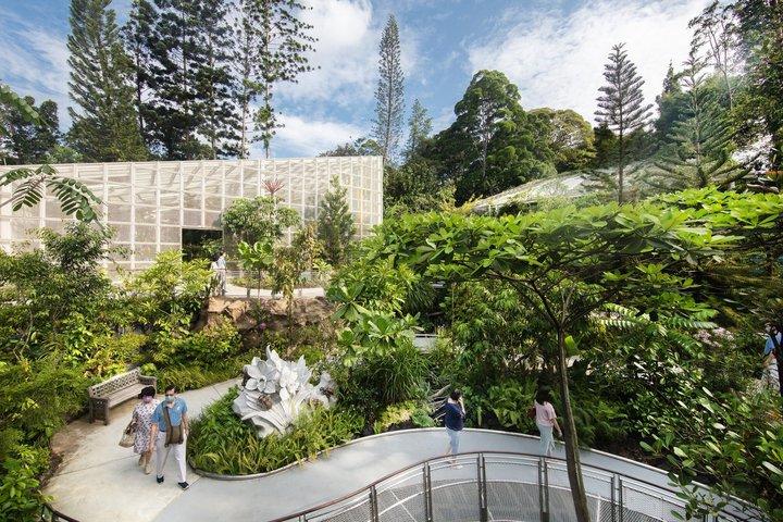 Singapore National Orchid Garden Admission Ticket