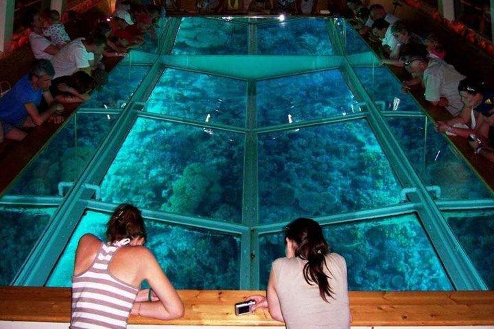 Glass Bottom Boat Cruise And Coral Reef Viewing