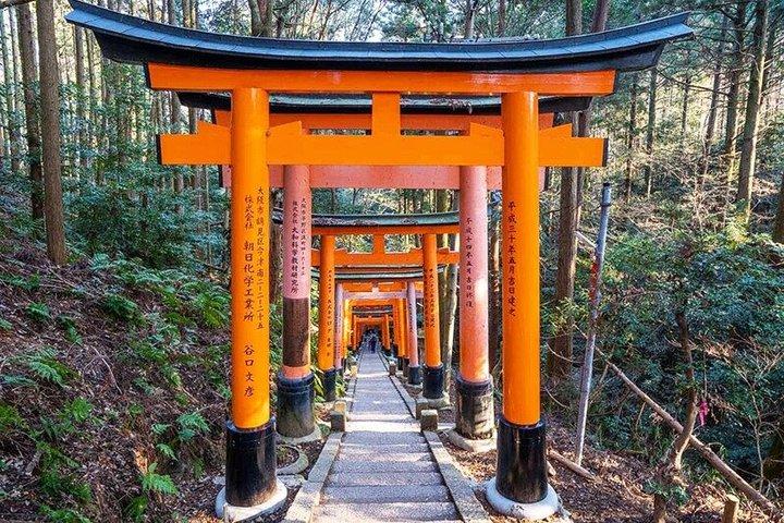 Kyoto's Gems with a Local - Private Shore Excursion Osaka Ports
