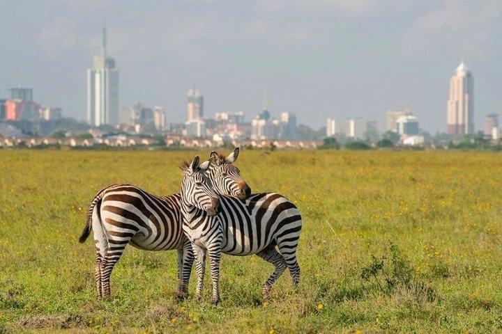 Nairobi National Park Half Day Game Drive With Guide
