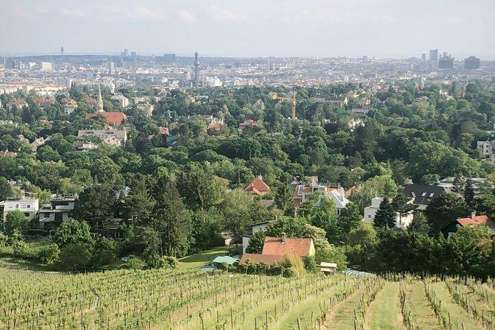 Vienna Wine & Vineyard Walk 2,5: Above the Rooftops (DE/EN)