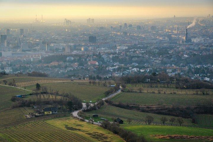Vienna Wine & Vineyard Walk 2,5: Above the Rooftops (DE/EN)