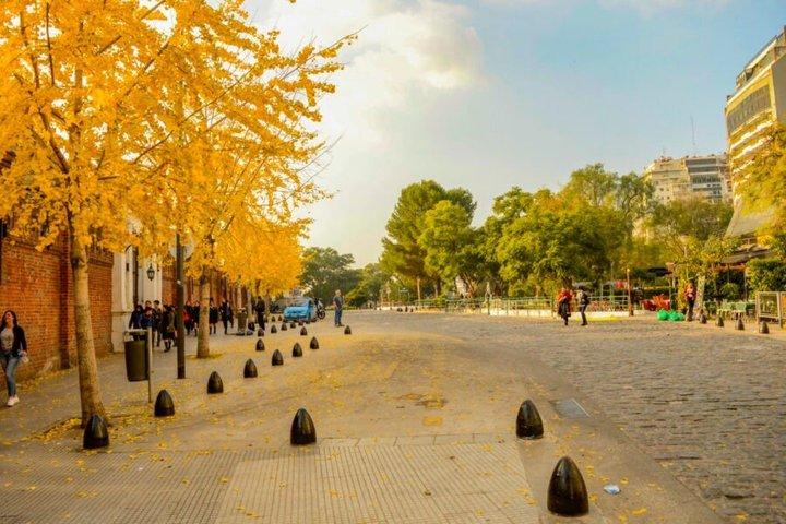 City Tour Porteño with Buenos Aires Guide