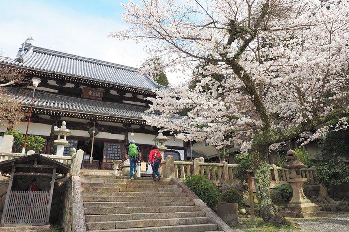 Private Kobe Tour with Arima Onsen and Mt Rokko Sightseeing