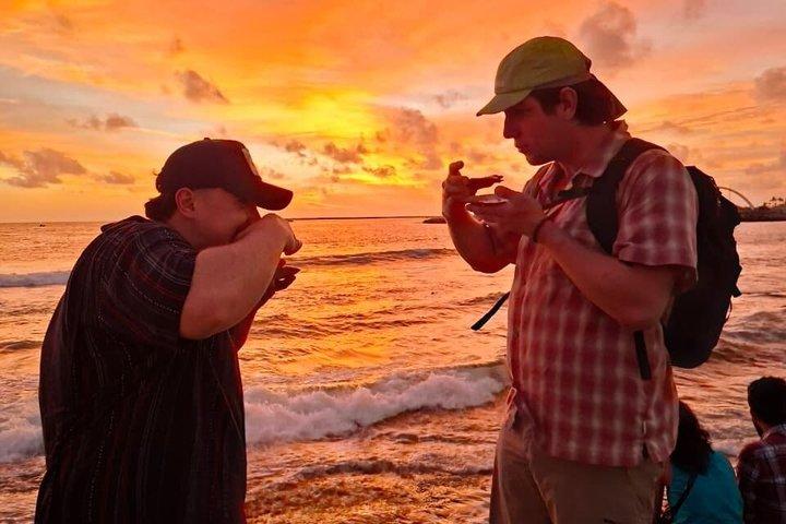 Colombo Local Food Tour by tuk-tuk - All Inclusive
