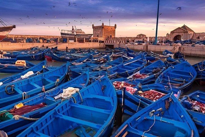 Excursion Marrakech → Essaouira (Mogador) with Expert Guide