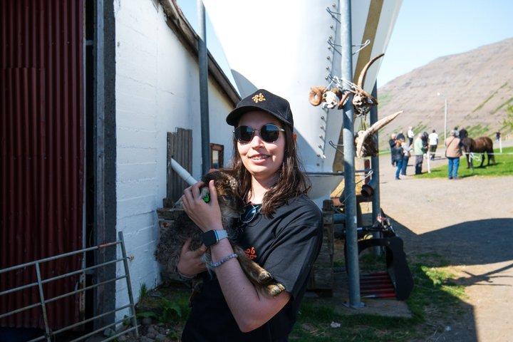 Dynjandi Waterfall & Farm Visit Tour from Isafjordur Port