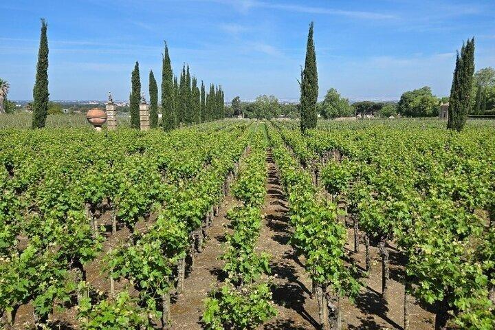 Private Tour Proof Wines with Product of the Region and Fabrica Azulejo