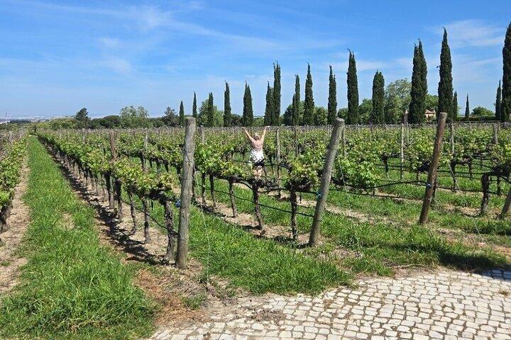 Private Tour Proof Wines with Product of the Region and Fabrica Azulejo