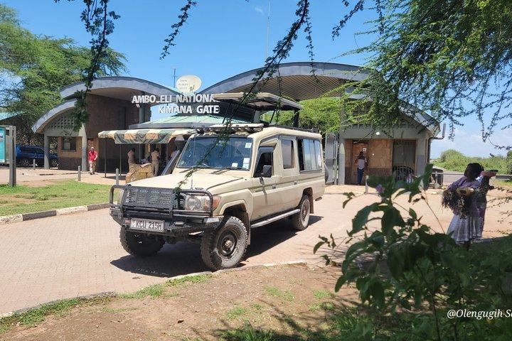 2 Day Amboseli Safari Multi Day Tour