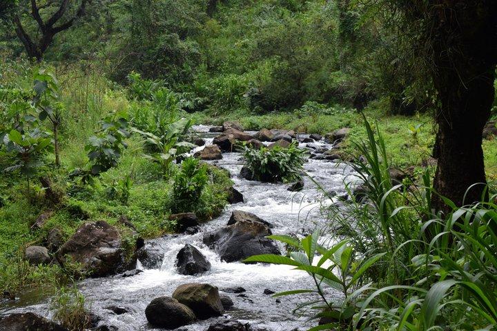 Materuni Waterfall Chemka Hot Springs Coffee Tour