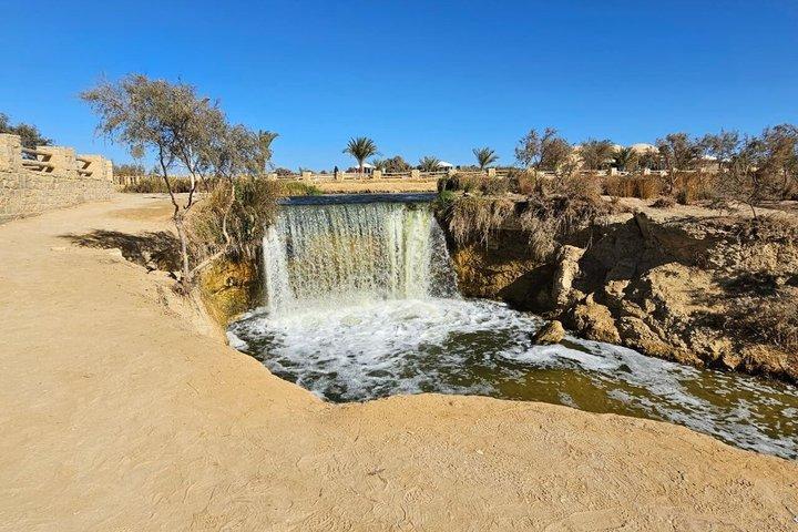 Fayoum Oasis Safari day tour Sandboarding, Breakfast, lunch& Boat