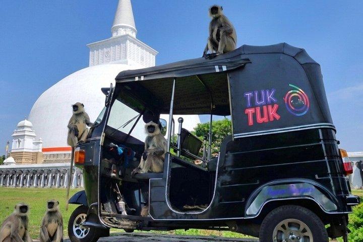 Anuradhapura: Tuk Tuk Tour at Ancient City with Audio Guide