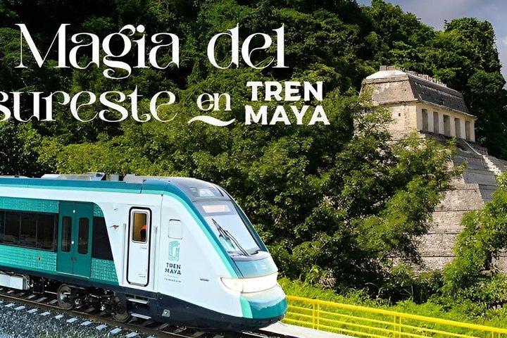 Transfer from Playa del Carmen to Cancun airport and hotels