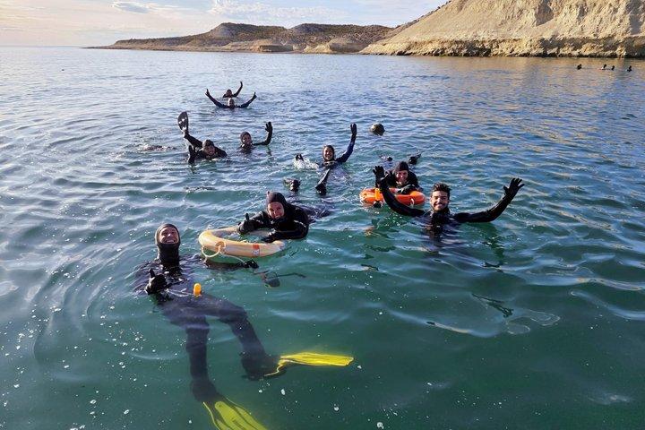 Snorkeling with Sea Lions by Madryn Buceo