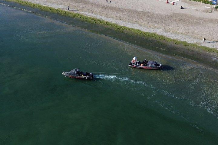 Snorkeling with Sea Lions by Madryn Buceo