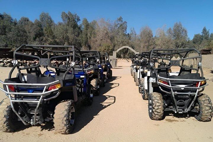 ATV Quad or Buggy Safari Trip in Sinai Desert of Sharm El Sheikh