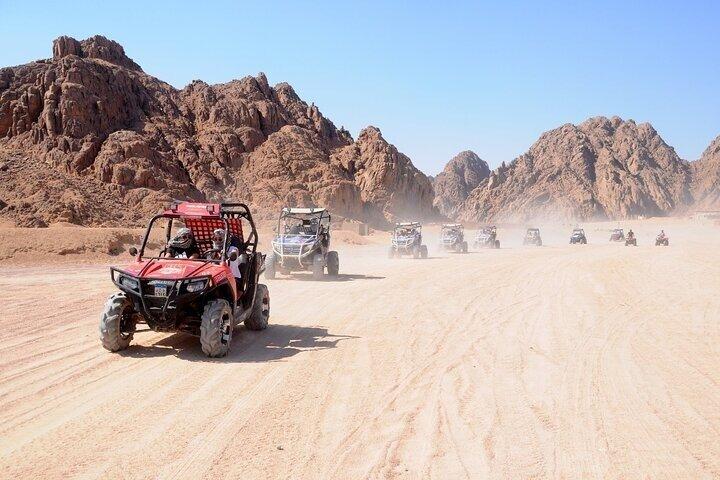 ATV Quad or Buggy Safari Trip in Sinai Desert of Sharm El Sheikh