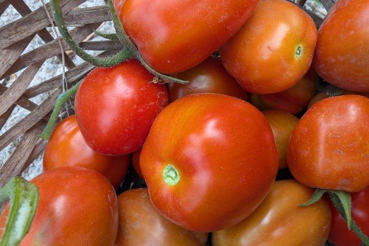 Genuine Home Cooking Class + Wine Tasting