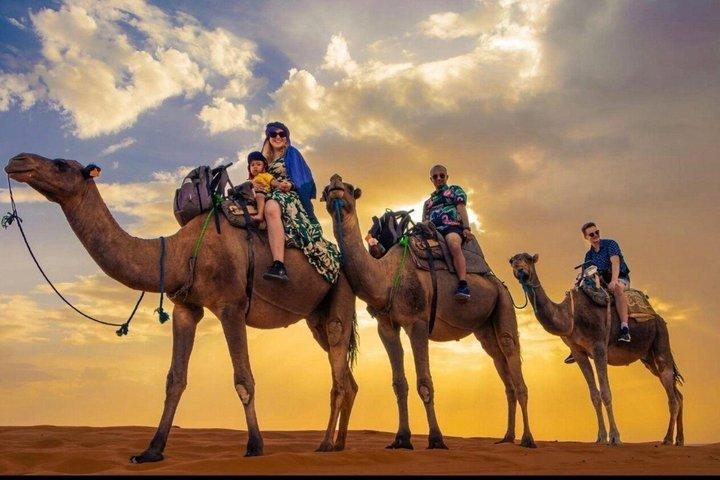 Marrakech: Camel Ride and Sunset & Dinner Show in Agafay Desert