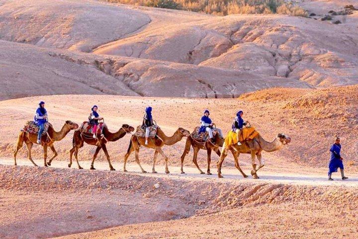 Marrakech: Camel Ride and Sunset & Dinner Show in Agafay Desert