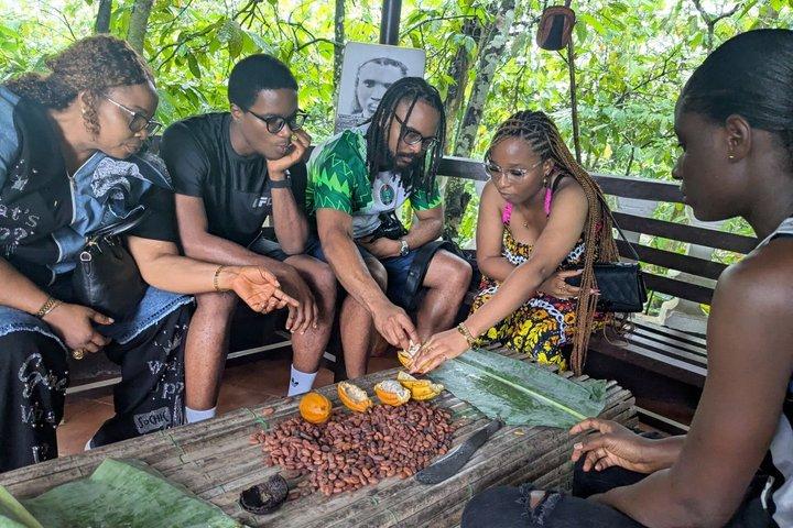 Boti Falls Umbrella Rock Aburi Gardens and Cocoa Tasting Tour