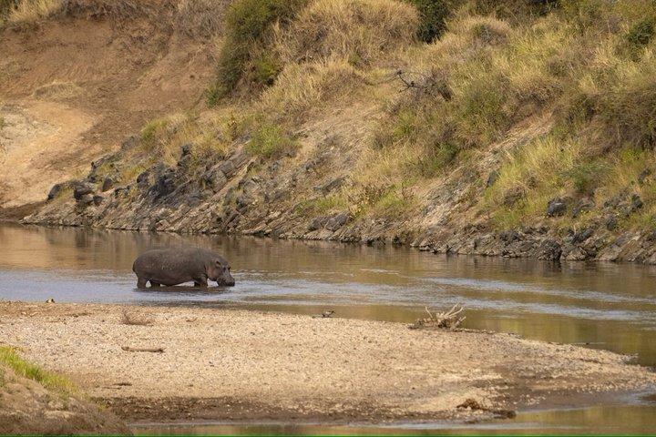 3 Days Tsavo East and Tsavo West Safari from Diani Mombasa Watamu