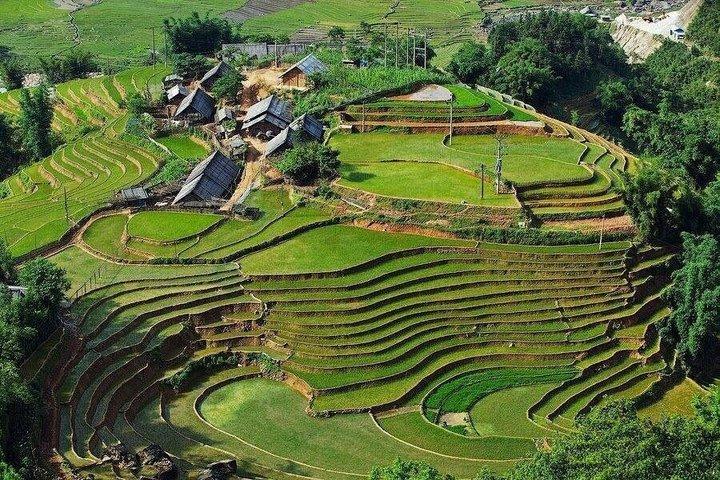 Sapa 3 Day Trekking Tour and Ta Van Village Local Stay