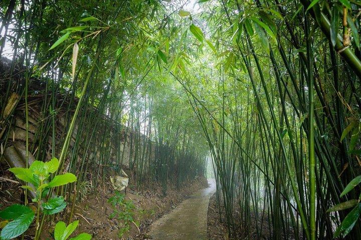 Sapa 3 Day Trekking Tour and Ta Van Village Local Stay