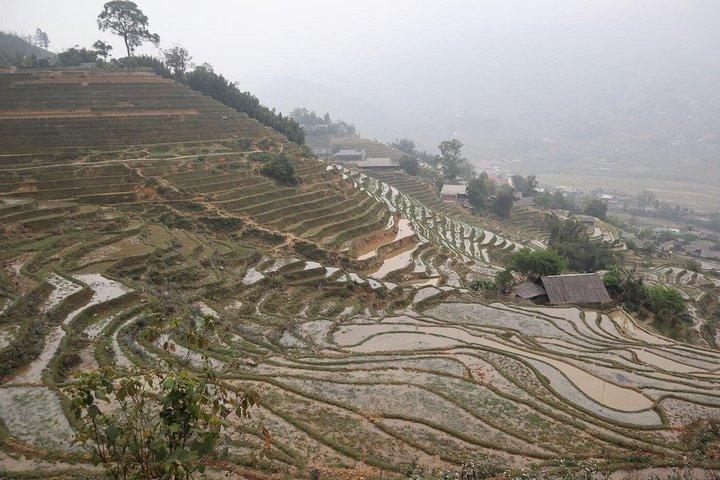 Sapa 3 Day Trekking Tour and Ta Van Village Local Stay